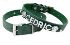 Bling Collar Pet with Leash