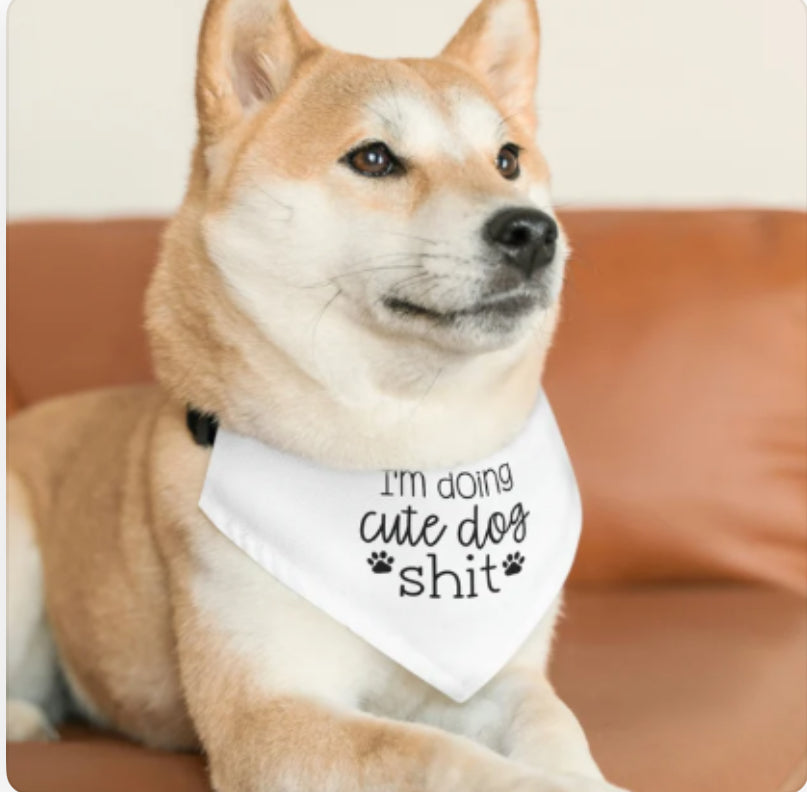 I'm Doing Cute Dog S*** Bandana Collar