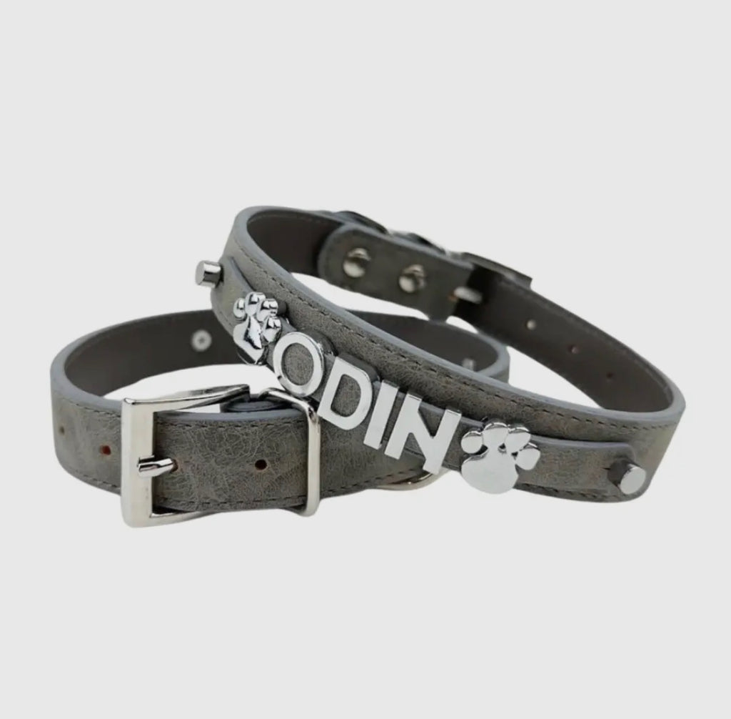 Bling Collar Pet with Leash